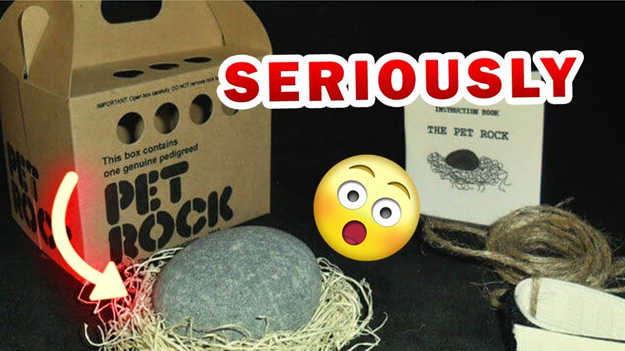 Remembering Gary Dahl, the Marketing Magician Who Made Millions Selling Pet  Rocks