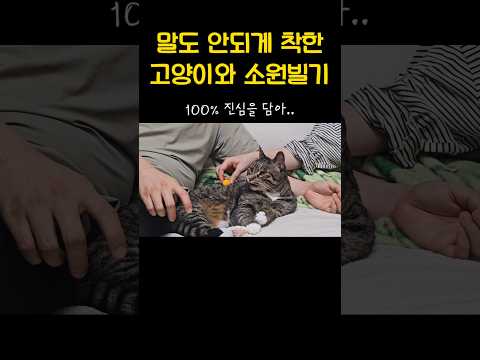 마지막이 포인트 thumbnail