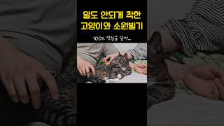 마지막이 포인트