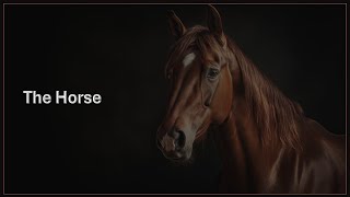 Unleashing The Mystique Of The Chinese Zodiac Horse