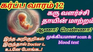 Pregnancy week 12|12 weeks pregnant symptoms tamil|first trimester pregnancy tamil|12th week tamil