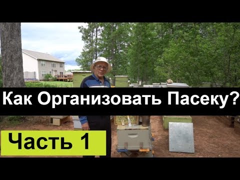 №82 Как Организовать Пасеку? часть1. Обмен Опытом. Пчеловодство. Пасека.