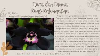 Flora dan Fauna Khas Kalimantan 🌿🐵