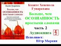 Бханте Хенепола Гунаратана.  Больше, чем осознанность простыми словами.  Часть 2 (Аудиокнига)