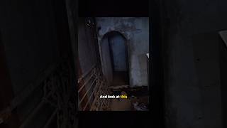 Secret tunnel found! 😳
