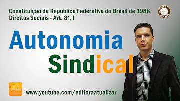 O que é o princípio da unicidade sindical?