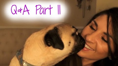 VLOG 11: Cheat Days, Tracking Froyo/Sushi, My Training Split, & Why I