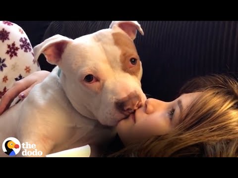 Awkward Pit Bull Loves Kissing His Mom | The Dodo