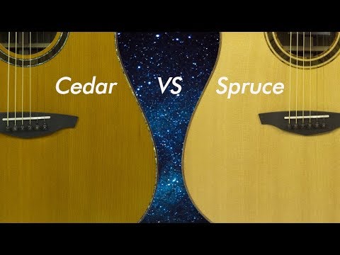 กีตาร์ที่ใช้ไม้หน้าเป็น Cedar VS Spruce