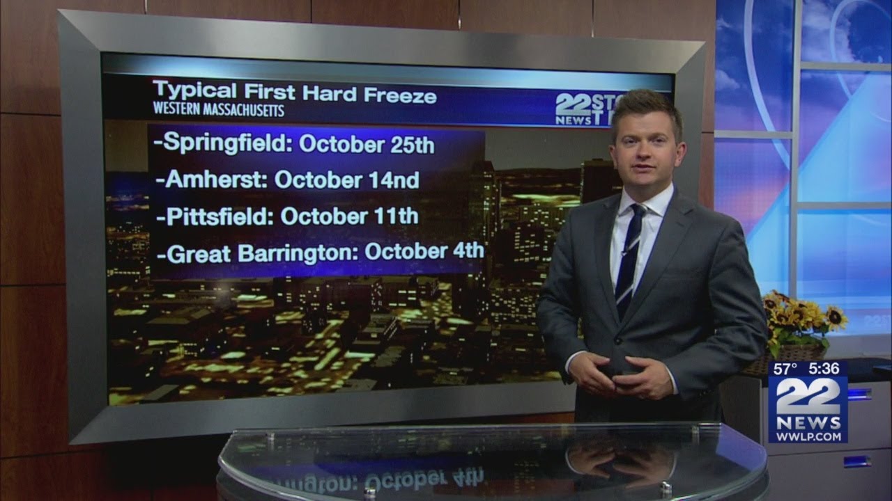 chicopee корм для собак отзывы Frost likely with the coldest temperatures of the season tonight