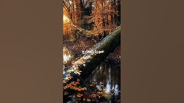 ماشاء الله صوت جميل سورة المعارج