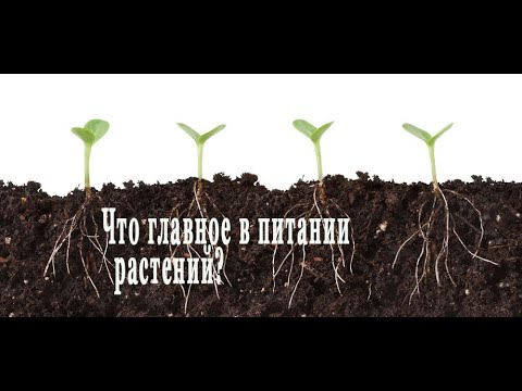 ПАН116 Основы плодородие почвы микроорганизмы и гуминовые кислоты