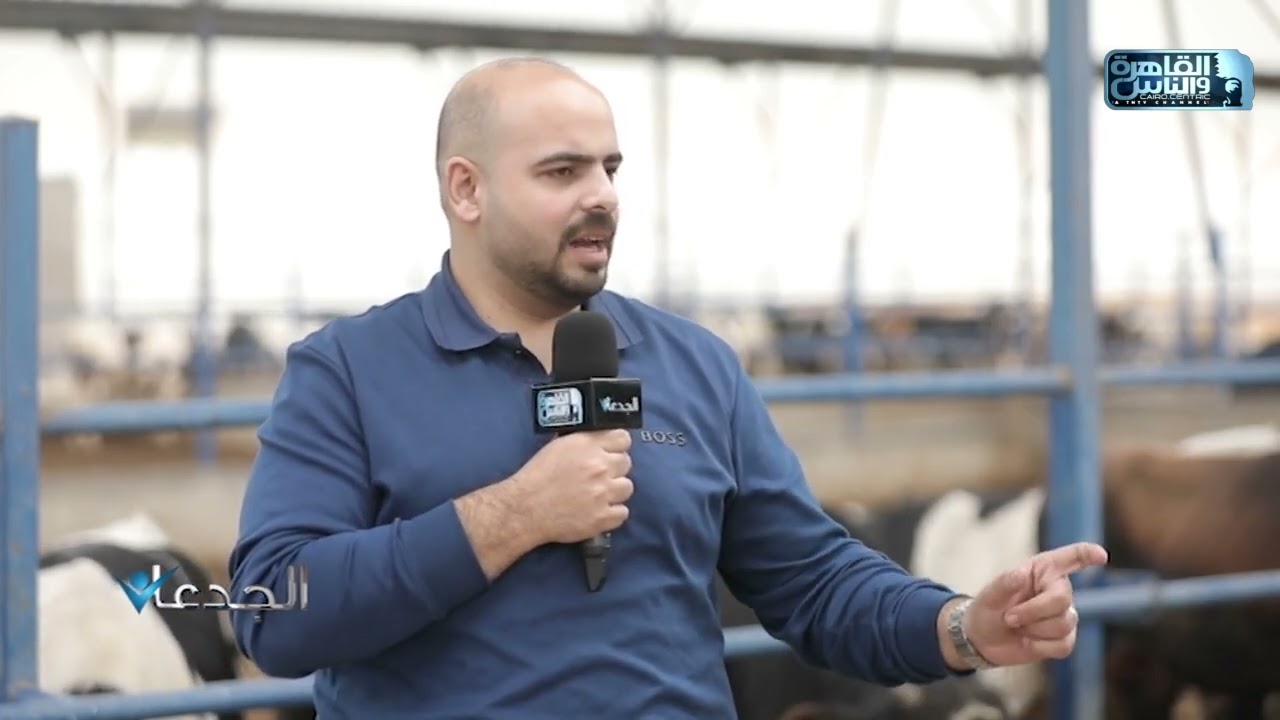 حسن الطلخاوي: نطبق معايير صارمة في اختيار عجول التسمين مما يضمن تحقيق أعلى كفاءة انتاجية