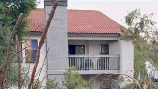 Overnight storms uproot trees, damage cars and carports in Mesa