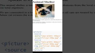 CSS picture responsive image