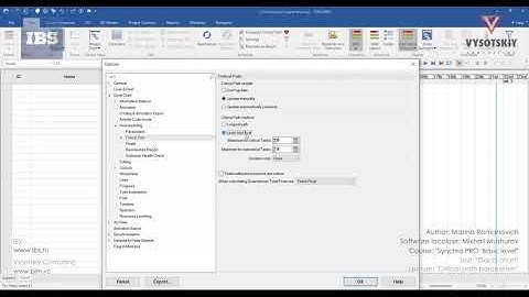 [Synchro PRO Basic] Critical path parameters