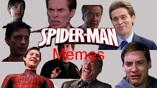 Raimi's spider man trilogy but only the memes