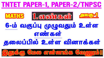 6-ம் வகுப்பு முழுவதும் எண்கள் தலைப்பில் உள்ள வினாக்கள் முழுவதும் / TNTET MATHS  அலகு-1