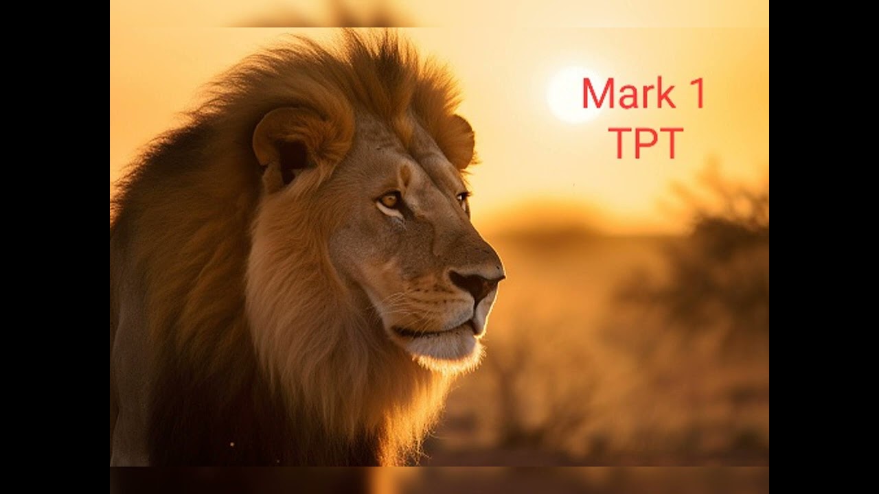 Mark 1 The Passion Translation TPT Audio Bible YouTube Mark 1 The Passion Translation TPT Audio Bible YouTube