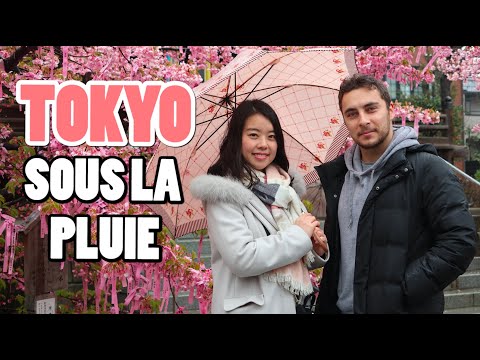 Vidéo: Pluie De Têtards Au Japon - Vue Alternative