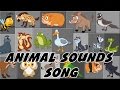 Animal Sound Song | These Are The Sounds That Animals Make |Rhymes By PlayTime