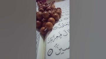 آيات من الذكر الحكيم #القرآن_الكريم #quran #آية_وتدبر #آية #قرآن #لايك #explore #ترند