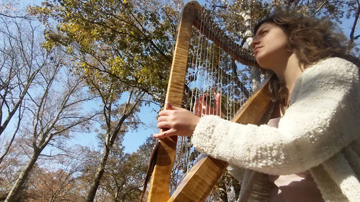 Harp flow in the forest 11.7.20