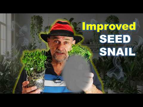 Seed Snails Are Outdated | Here's What Works Better