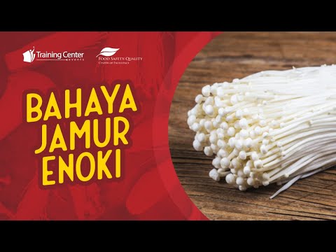 Kenapa Jamur Enoki Bahaya
