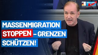 Massenmigration stoppen – Grenzen schützen - Gottfried Curio - AfD-Fraktion im Bundestag