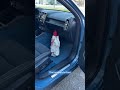 The Volvo C40 recharge has the most functional interior EVER