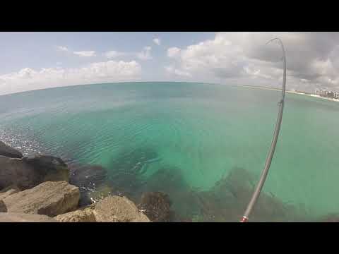 shore fishing cancun hotel zone
