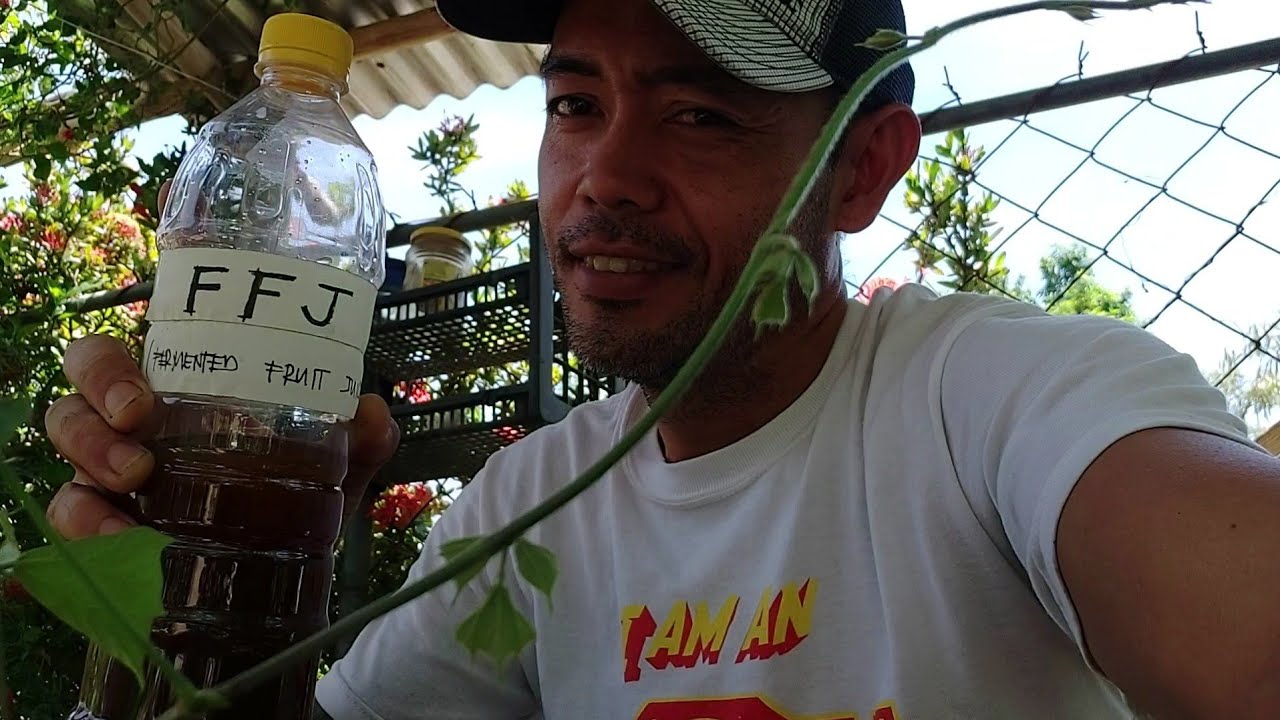 Paano Gumawa Ng Fermented Fruit Juice | FFJ | leon bc vlogs