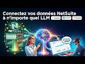 Connectez vos données NetSuite à n'importe quel LLM