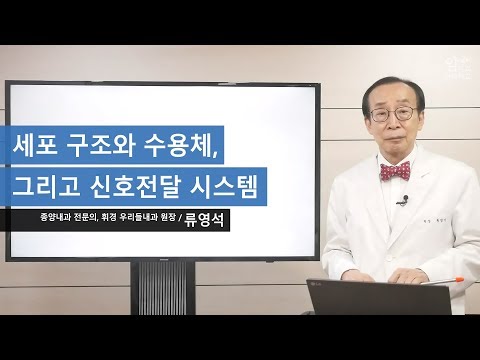 세포구조와 수용체, 그리고 신호전달시스템