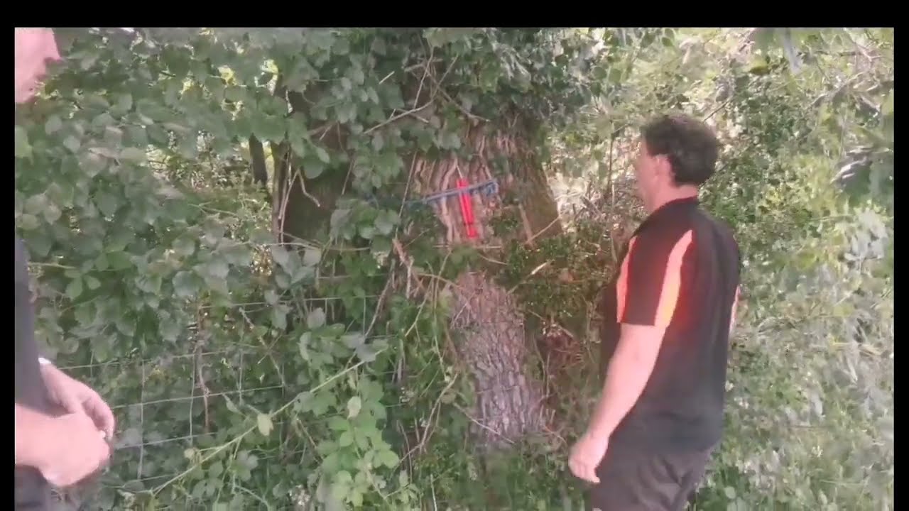 GYPSY MAN & HIS DOSSER BLOW UP TREE🌳🧨 💥