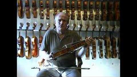 Giuseppe Marcello Viola demonstration