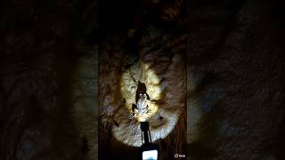 I Put A Micro Camera On A Frog Inside Its Hidden Underground World