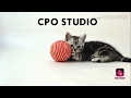 How to delete Google account from your android phone: cpo studio
