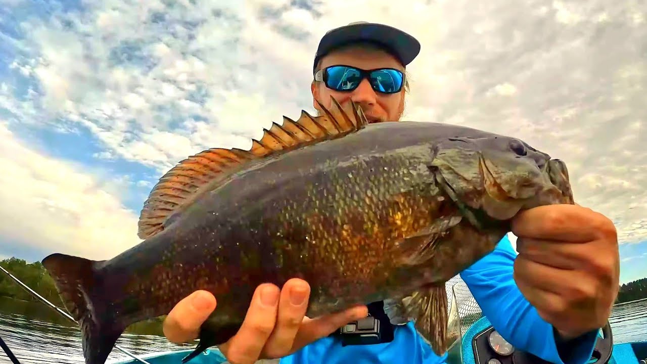 Aggressive Smallmouth Bass  & More on Offshore Rock | Ely, Minnesota Fishing