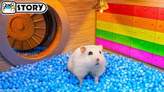 🐹 Hamster Escapes the Prison Maze and Robs the Bank on the Alien Ship 🐹 Homura Ham Pets by Homura Ham Pets 70,972 views 4 months ago 11 minutes, 18 seconds