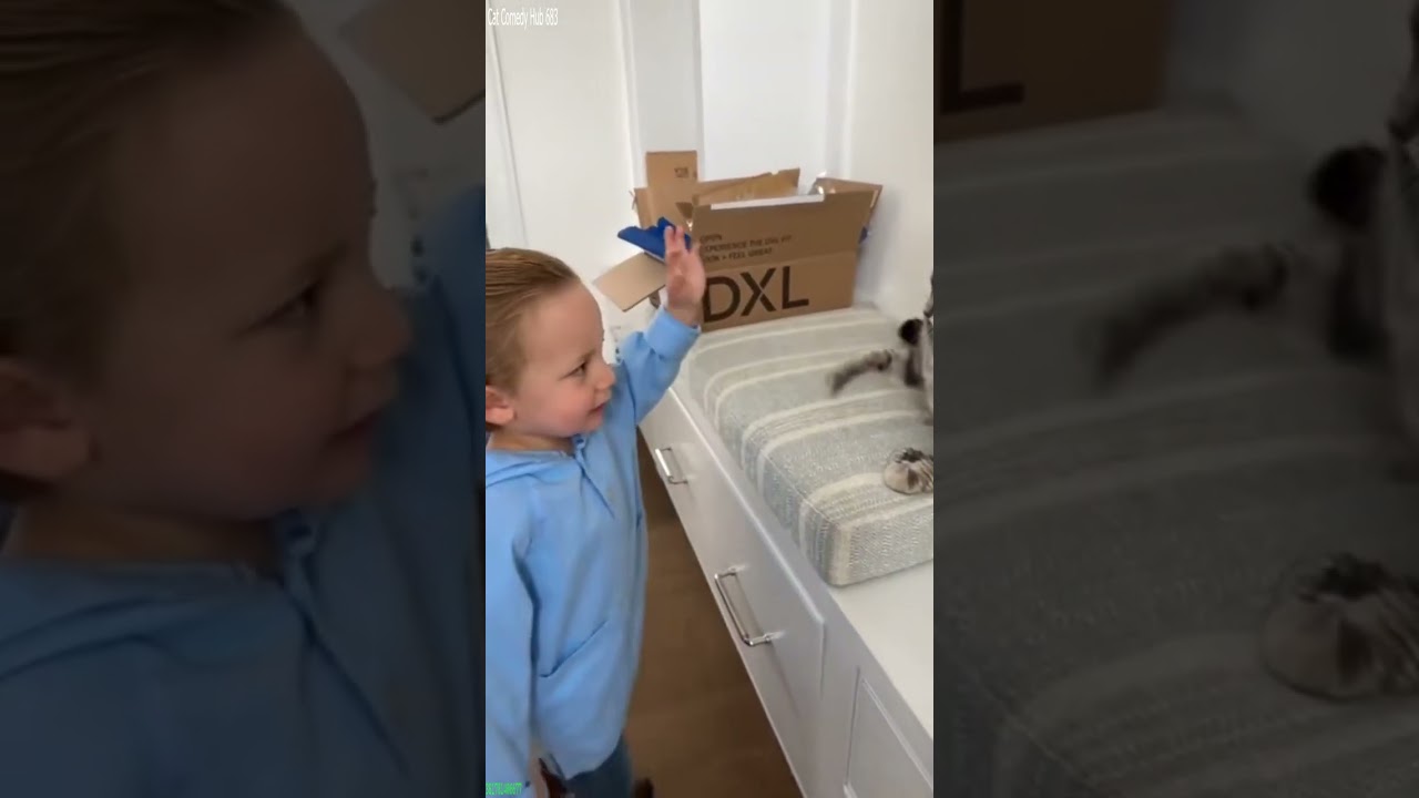 Cat Funny Videos 🙀 #viral 🐱 # Part 4628