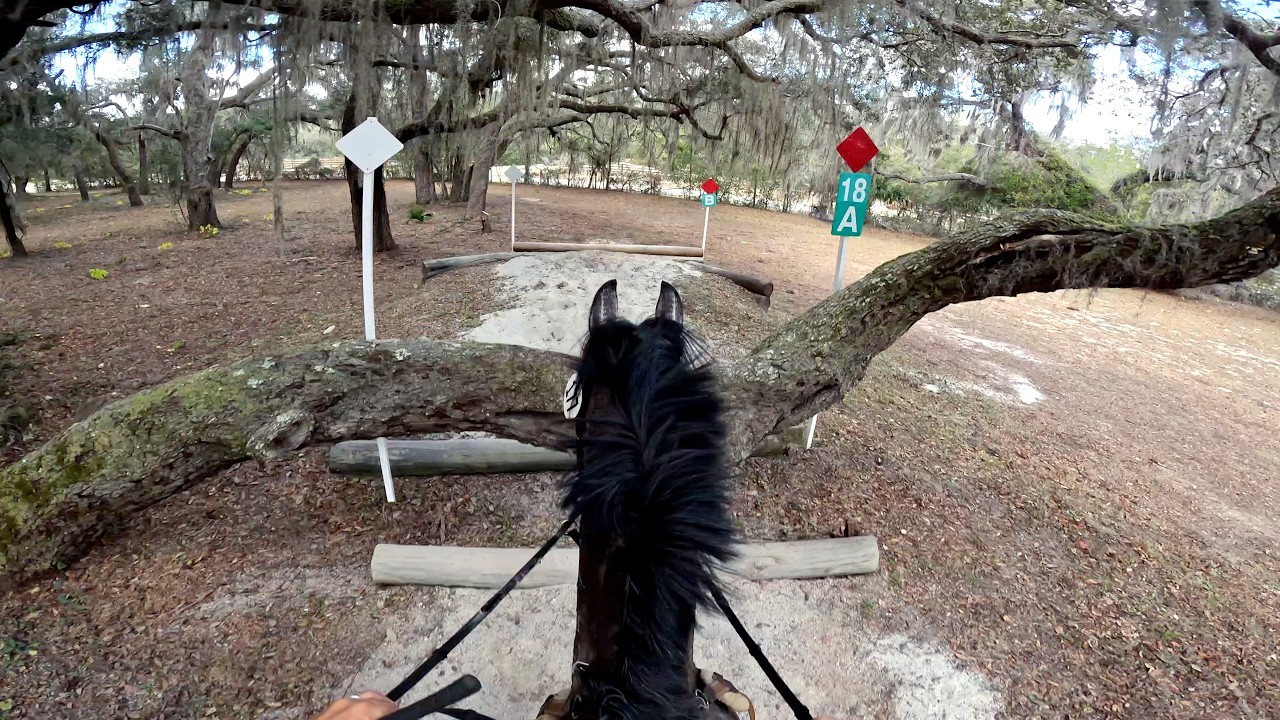 GoPro: Out of the Blue (Open Preliminary | 2026 Rocking Horse Winter II Horse Trials)