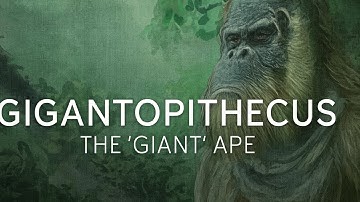 Gigantopithecus: The Largest Ape that Ever Existed | Prehistoric Humans Documentary