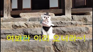 (098) 하루 민속마을 여행   Haru Folk Village Trip.  (Eng Sub)