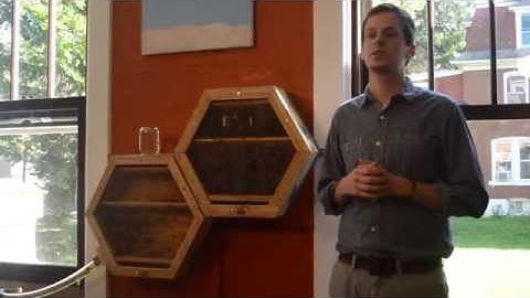 BEEcosystem creators looking to create a buzz about bees