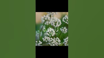 قَالَا رَبَّنَا إِنَّنَا نَخَافُ أَن يَفْرُطَ عَلَيْنَا أَوْ أَن يَطْغَىٰ (45)سورة طه