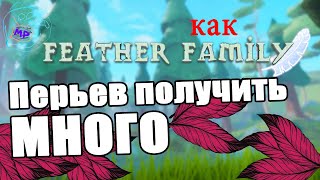 Как быстро получить много перьев в семье птиц | feather family | Multikplayer