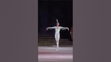 Thumbnail of Nikolay Tsiskaridze. "The Blue Bird" of ballet by Tchaikovsky "Sleeping Beauty" at Bolshoi Theater