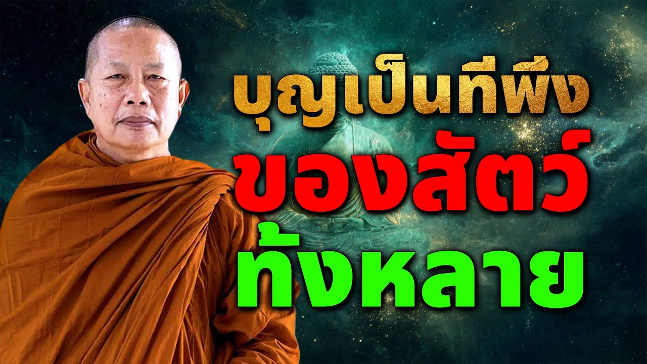 บุญเป็นที่พึ่งของสัตว์ทั้งหลาย..ธรรมะคลายทุกข์ พระมหาบุญช่วย ปัญญาวชิโร